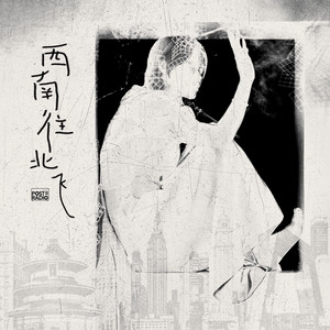 西南往北飞 (Forgiveness)封面