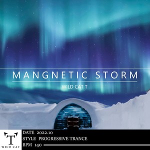 Magnetic Storm