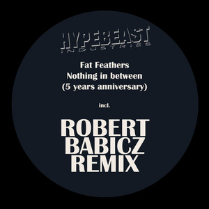 Nothing in Between (Robert Babicz Remix - 5 Years Anniversary)