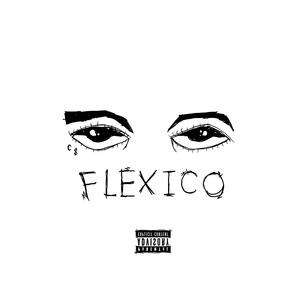 Flexico (Explicit)