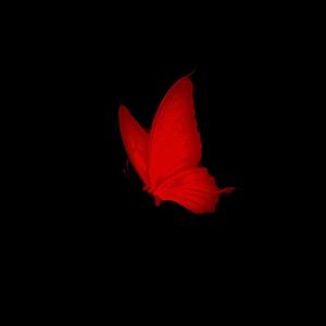 Put That On Me (Explicit)