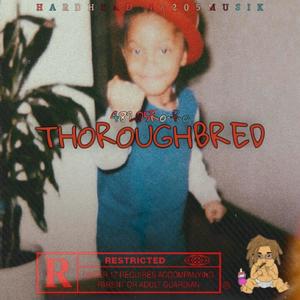THOROUGHBRED (Explicit)