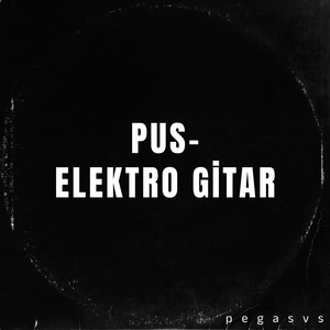 Pus-Elektro Gitar