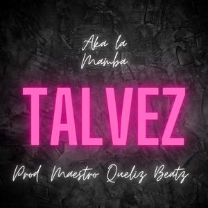 Talvéz