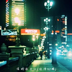 谁明浪子心 (旋律DJ版)
