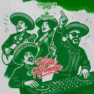 Niña Hermosa (feat. Tequilásser)