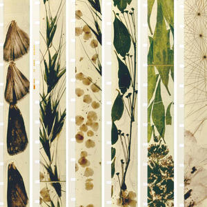 Restitution-instrumental