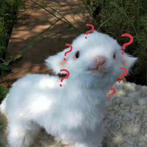 快乐指南 (COVER版)