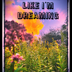 Like I'm Dreaming