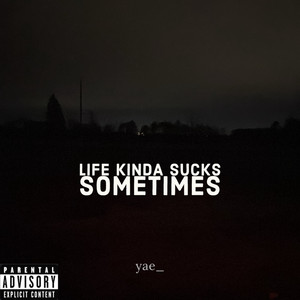 Life Kinda Sucks Sometimes (Explicit)