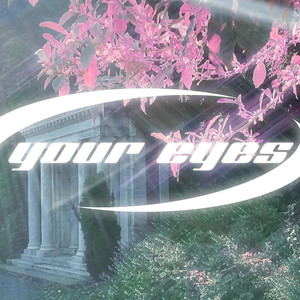 your eyes