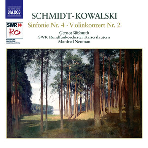 Violin Concerto No. 2 in B Minor, Op. 100 - III. Finale - Rondo: Allegro con brio
