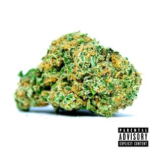 FRONTO LEAF (Explicit)