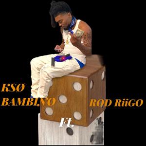 HAVOC (feat. Rod Riigo) (Explicit)