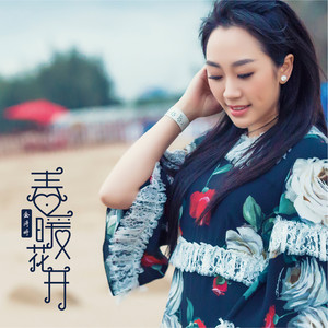 在那遥远的地方封面