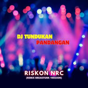 DJ Tundukan Pandangan (Remix Breakfunk Version)