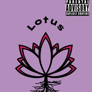 Lotus (Explicit)