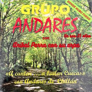 Donde hubo fuego (feat. Grupo Andares de Chillán)