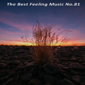 The Best Feeling Music No.81