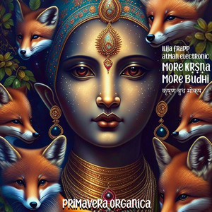 More Krishna More Budhi