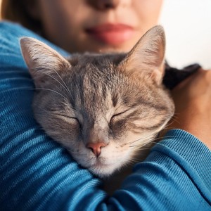 El Sonido Del Alma Ronroneante