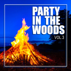 Party in the Woods, Vol.3 (Explicit)