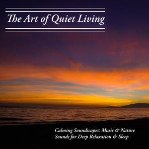 Calming Soundscapes: Music & Nature Sounds for Deep Relaxation & Sleep