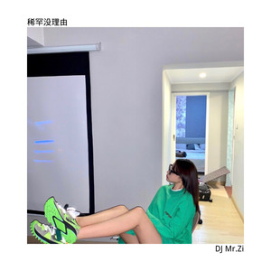 稀罕没理由封面