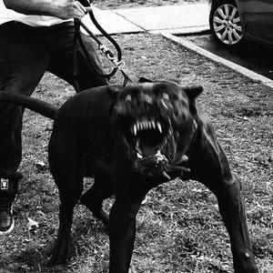 Caged Thoughts (Explicit)