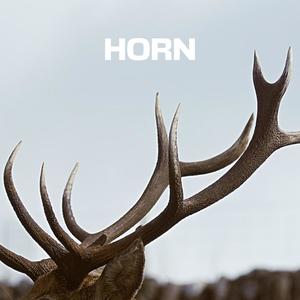 HORN