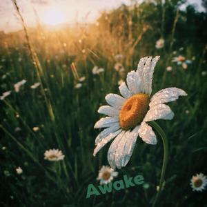 Awake