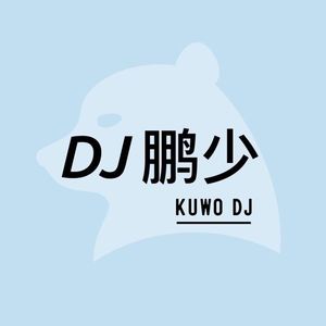 爱不得忘不舍 (DJ鹏少版)封面