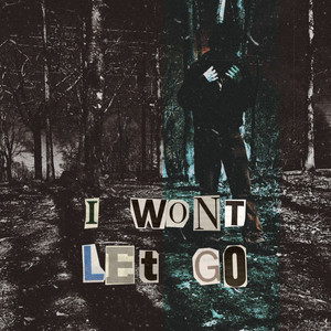 I Won't Let Go (Explicit)