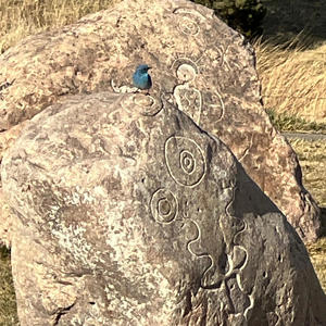 Mom's Spaghetti Western (Explicit)