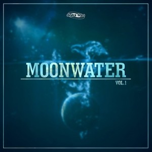 No Law, No Justice (Feat. Josephine Sweett) (Instrument)