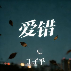 爱错-丁子乎