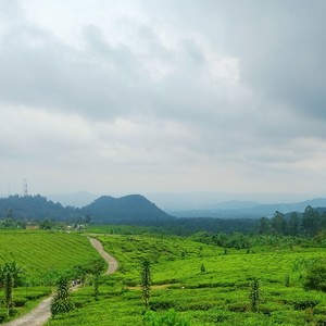 Mangundrajat - Duit dan jabatan