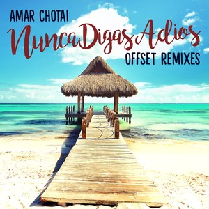 Nunca Digas Adios (Offset Remixes)