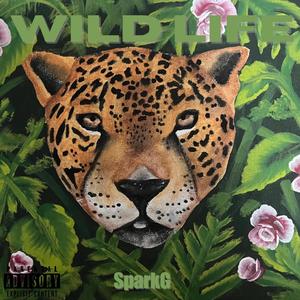 Wild Life (Explicit)