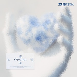 青花-赵乃吉