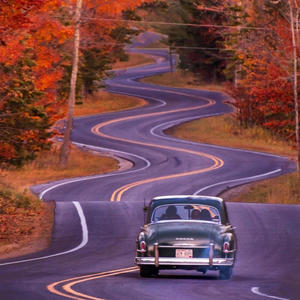 Dope in the spot (feat. Bankhead Polo & Don Quan) (Explicit)