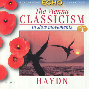 Horn Concerto No. 2 in D Major, Hob. VIId:4 - Horn Concerto No. 2 in D Major, Hob. VIId:4: II. Adagio
