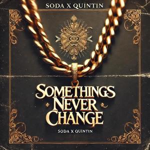 Somethings Never Change (feat Quintin Cambridge) [Explicit]