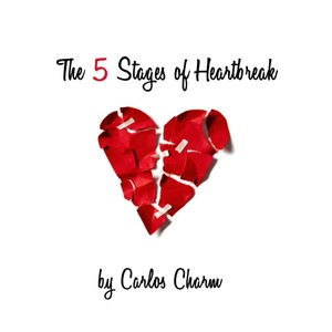 The 5 Stages of Heartbreak (Explicit)