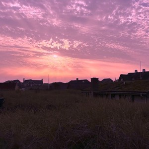 Blue Butterflies (Sped Up)