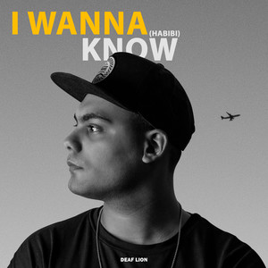 I Wanna Know (Habibi)