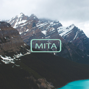 Bring Back The Summer (Mita Remix)