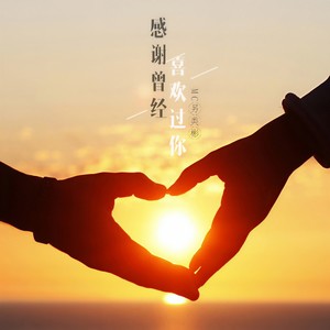 放心我不会爱了