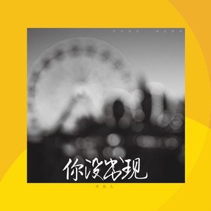 你没出现 (DJheap九天版)