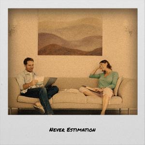 Never Estimation